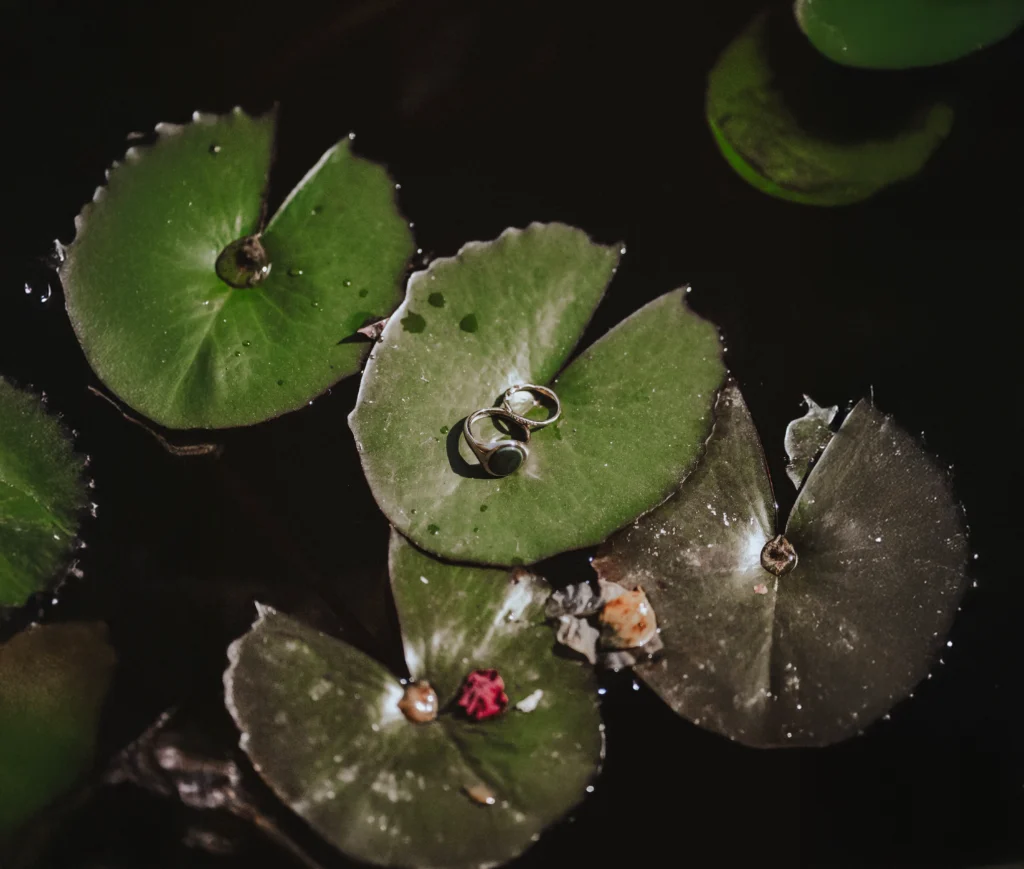 Wedding rings beautifully placed in the water, reflecting the natural light and symbolizing the union of love and commitment.