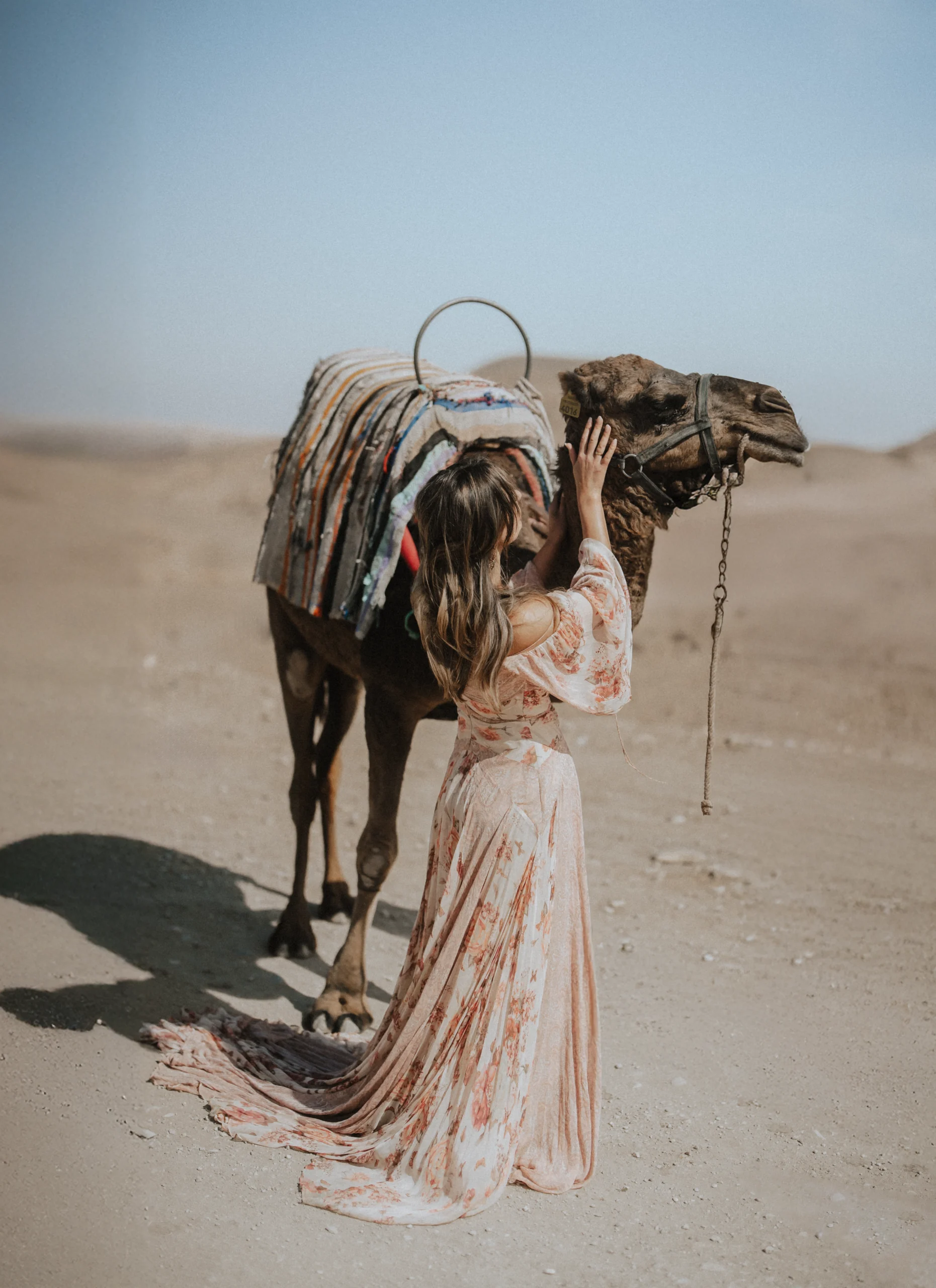 The bride in a flowing floral dress gently interacts with a camel in the desert, standing on soft sand under a clear blue sky