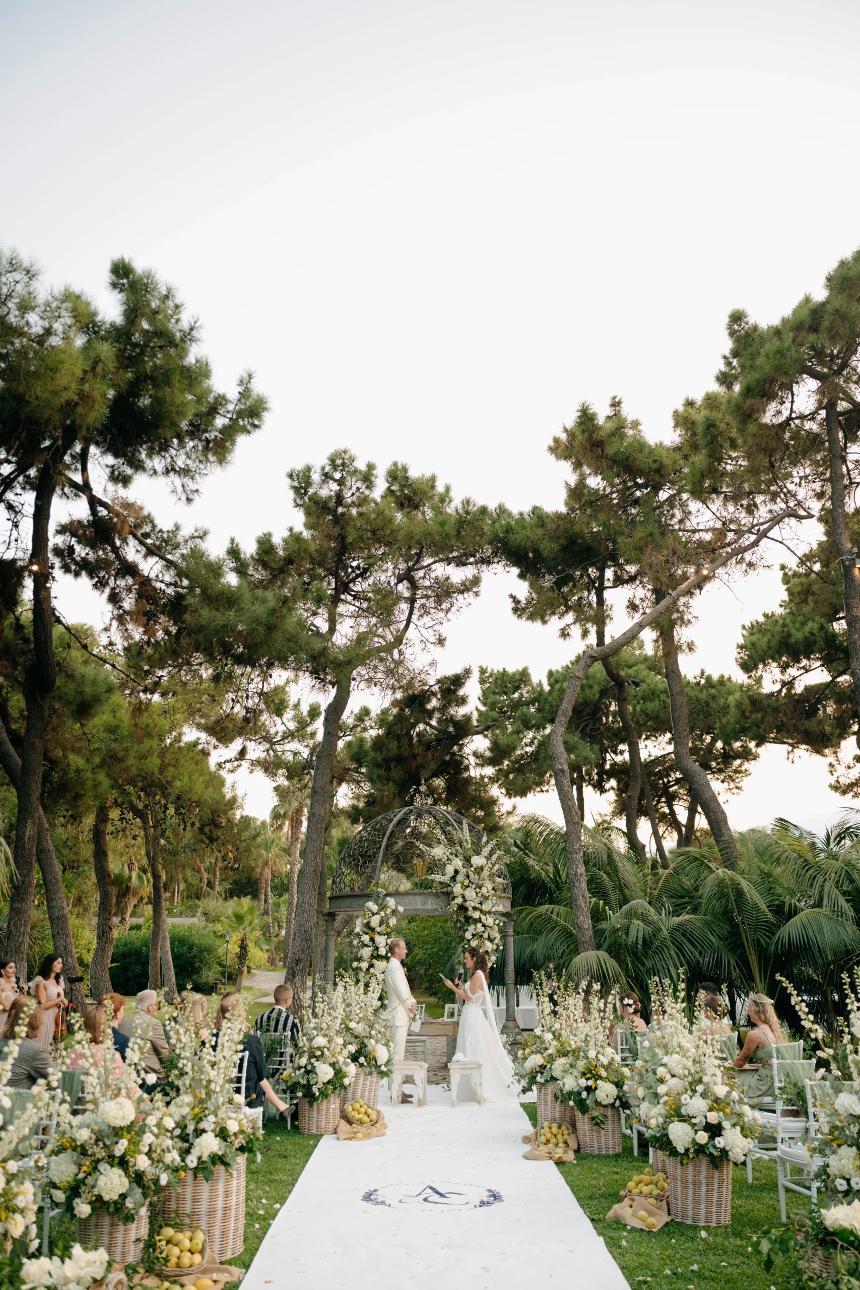 Outdoor wedding ceremony setup under pine trees
