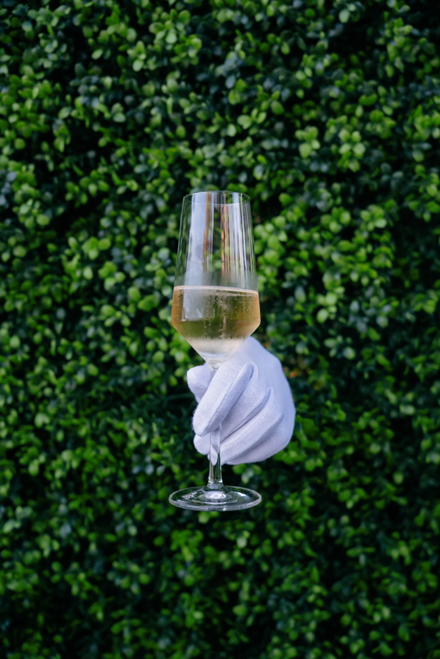 White gloved hand holding a glass against a green hedge, detail shot, Munich at La Villa