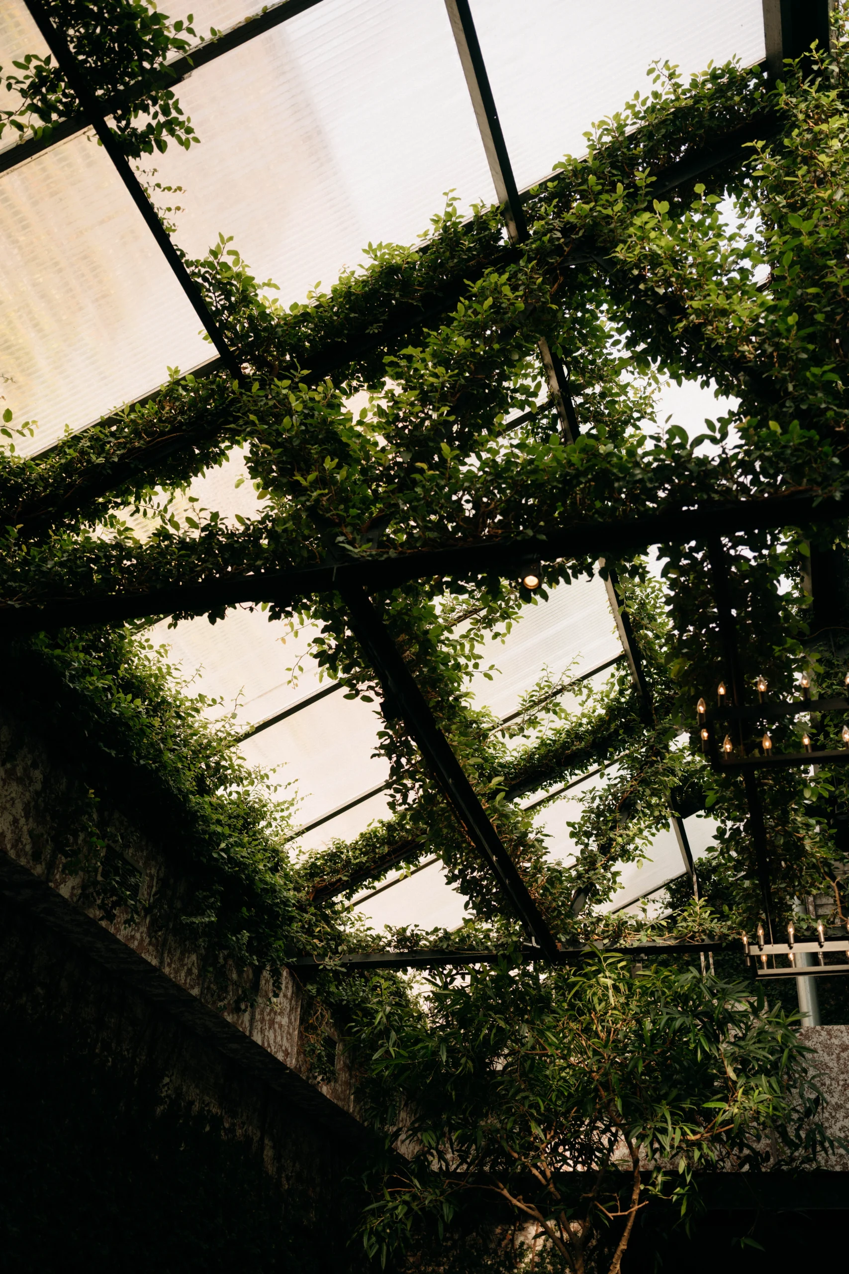 Greenhouse ceiling at The Foundry NYC wedding