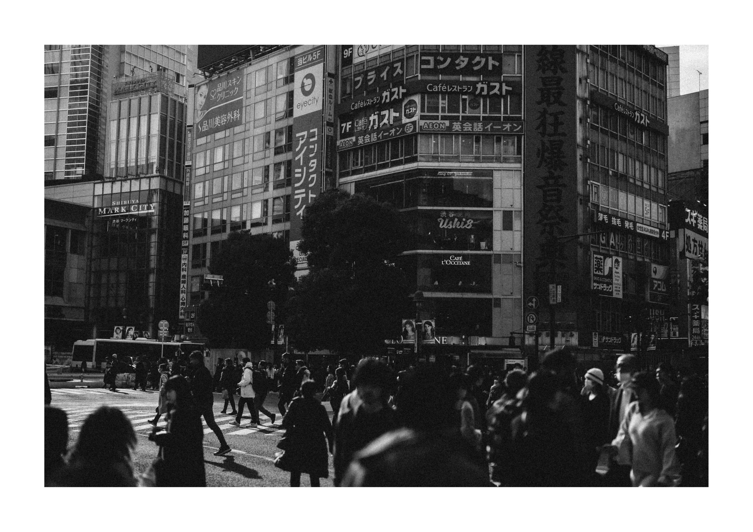 Tokyo fine art print of a black and white street crossing in Shibuya