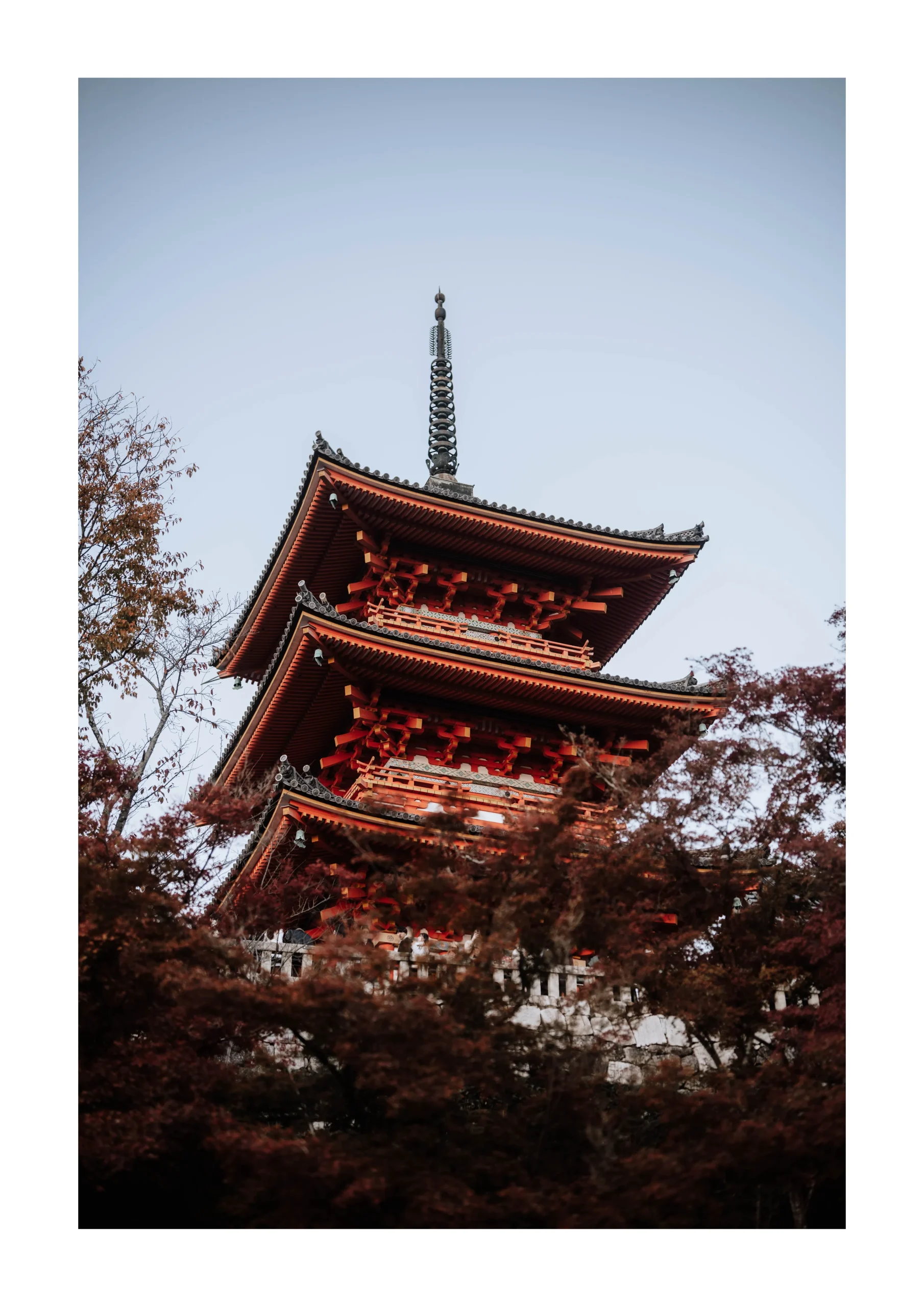 Kyoto fine art print of a red Japanese pagoda surrounded by autumn trees