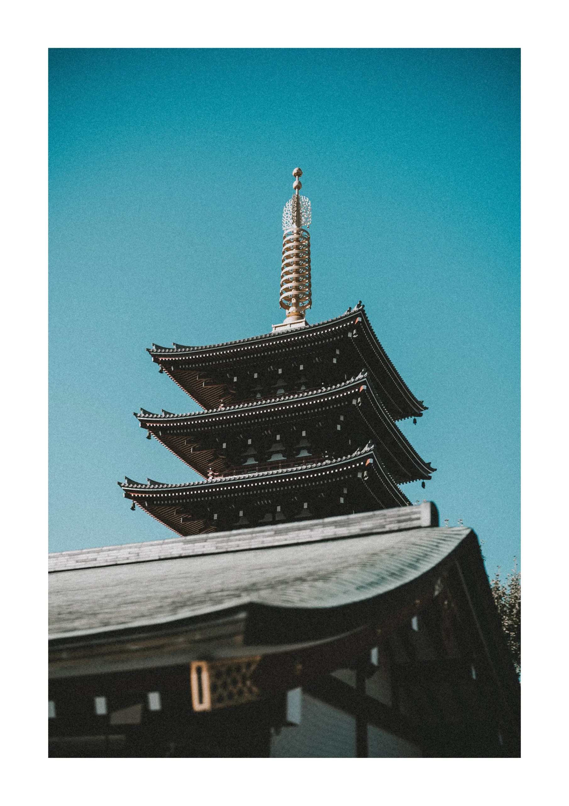 Tokyo fine art print of a Japanese pagoda on 35mm Portra 400 film