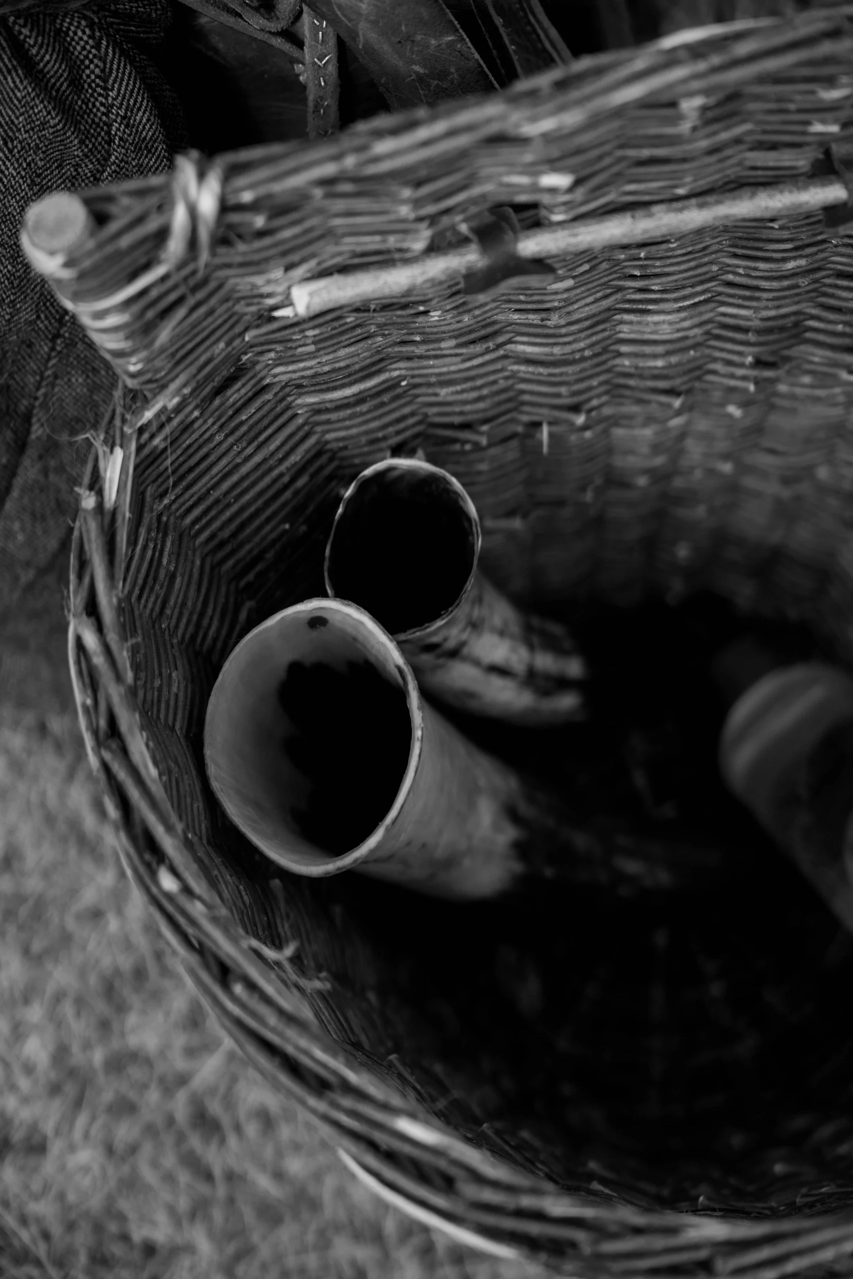Close-up of two drinking horns in a woven wicker basket, black and white