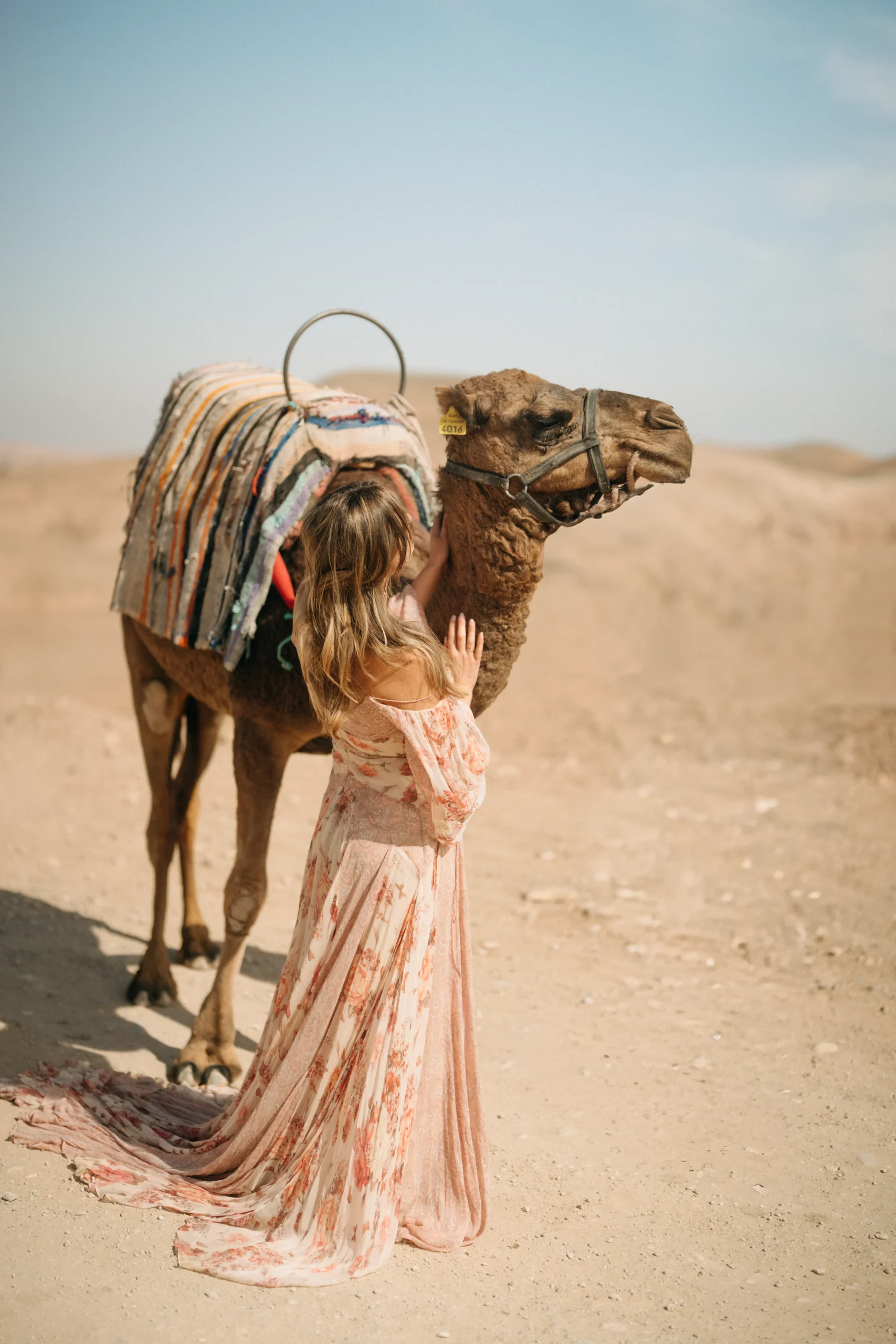 The Bride in a flowing floral dress greeting a camel in the Agafay Desert near Marrakech