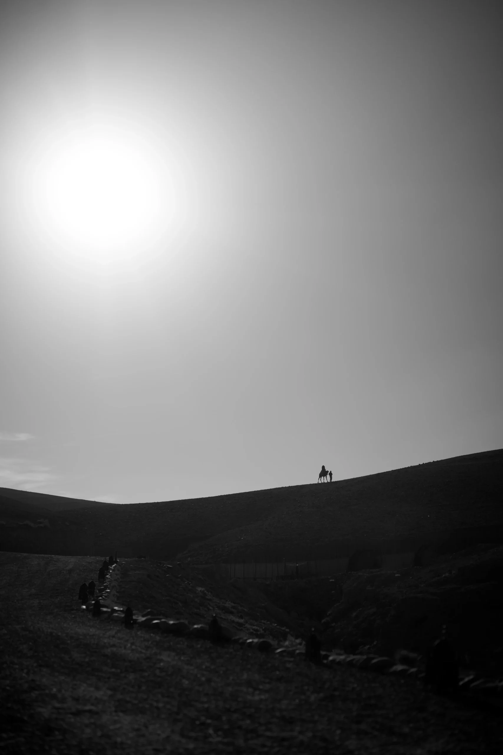 Black and white camel caravan crossing the Agafay Desert hills near Marrakech under a bright sun